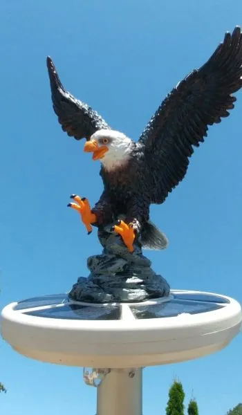 Hand Painted Eagle on Approach