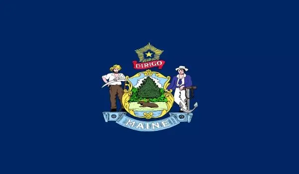 2x3 Maine Nylon Flag