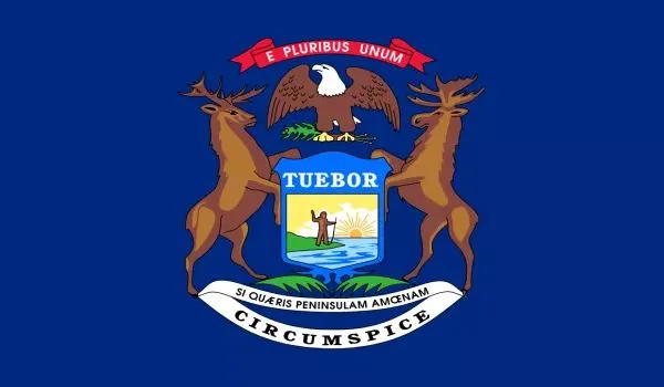 2x3 Michigan Nylon Flag