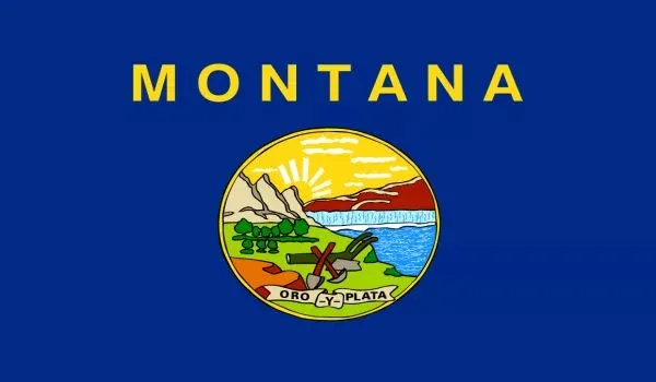 2x3 Montana Nylon Flag