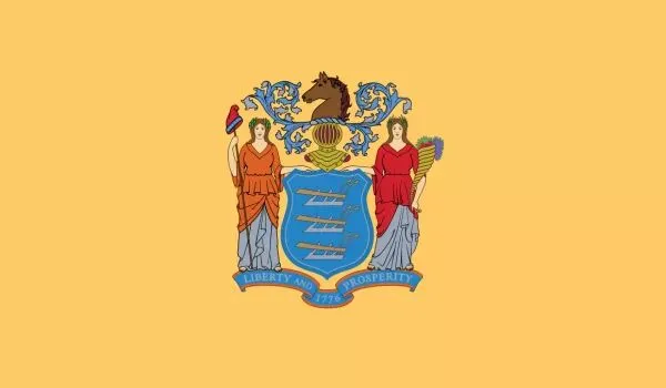 2x3 New Jersey Nylon Flag