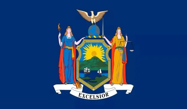 2x3 New York Nylon Flag