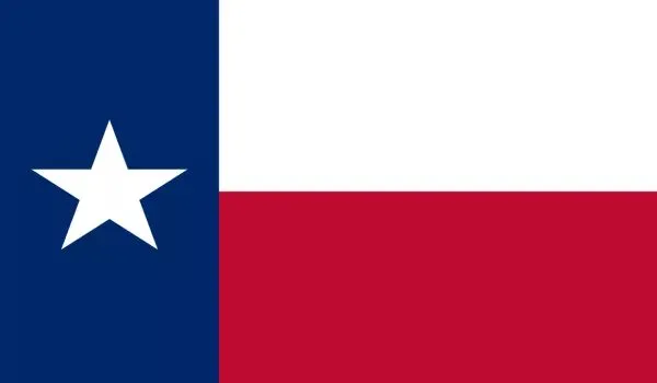 2x3 Texas Sewn Nylon Flag