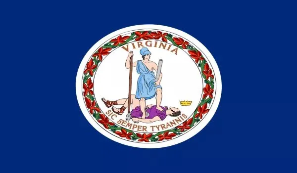 2x3 Virginia Nylon Flag